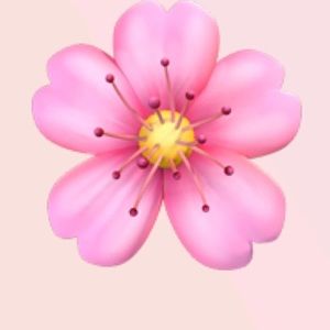 Meet your Posher, Jami